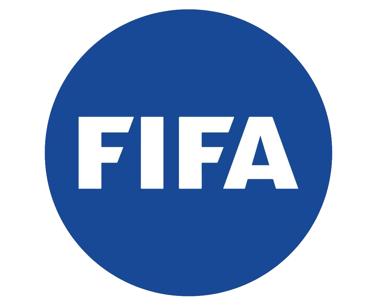 fifa copy